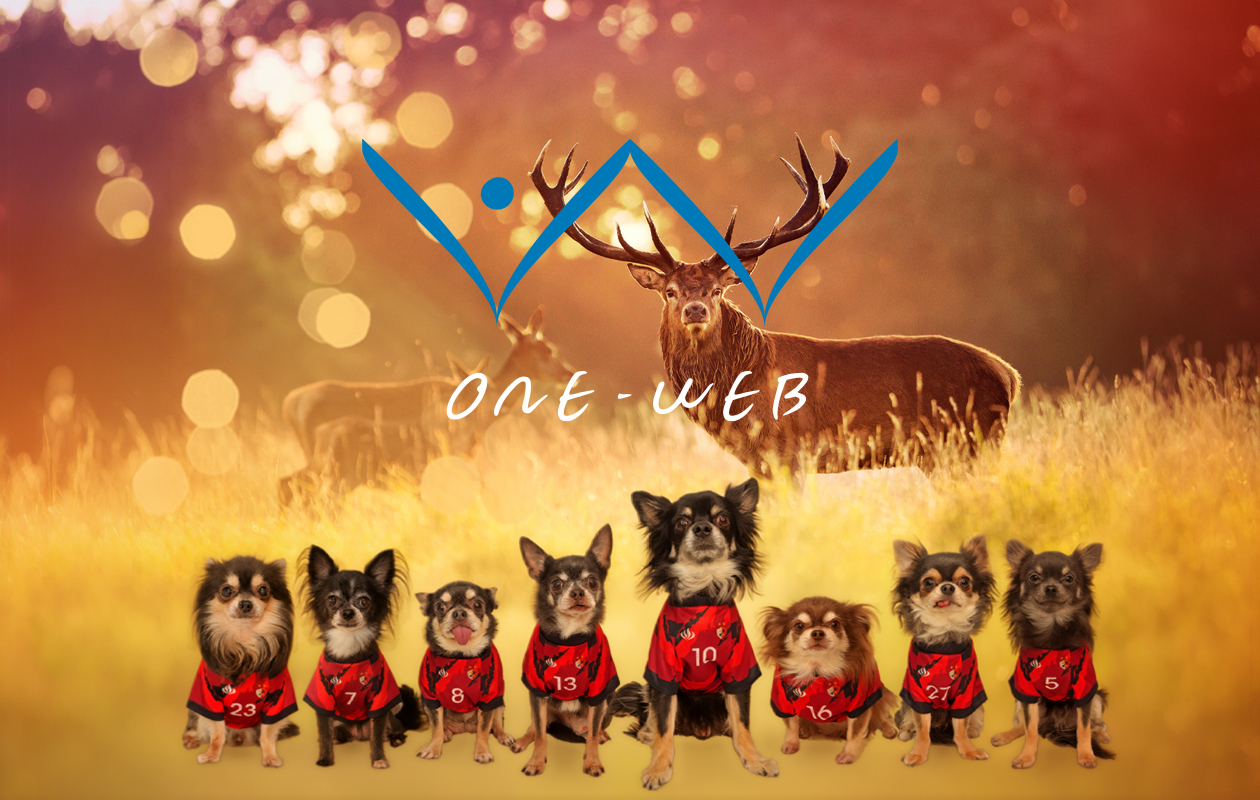 ONE-WEB チーム・チワワズ